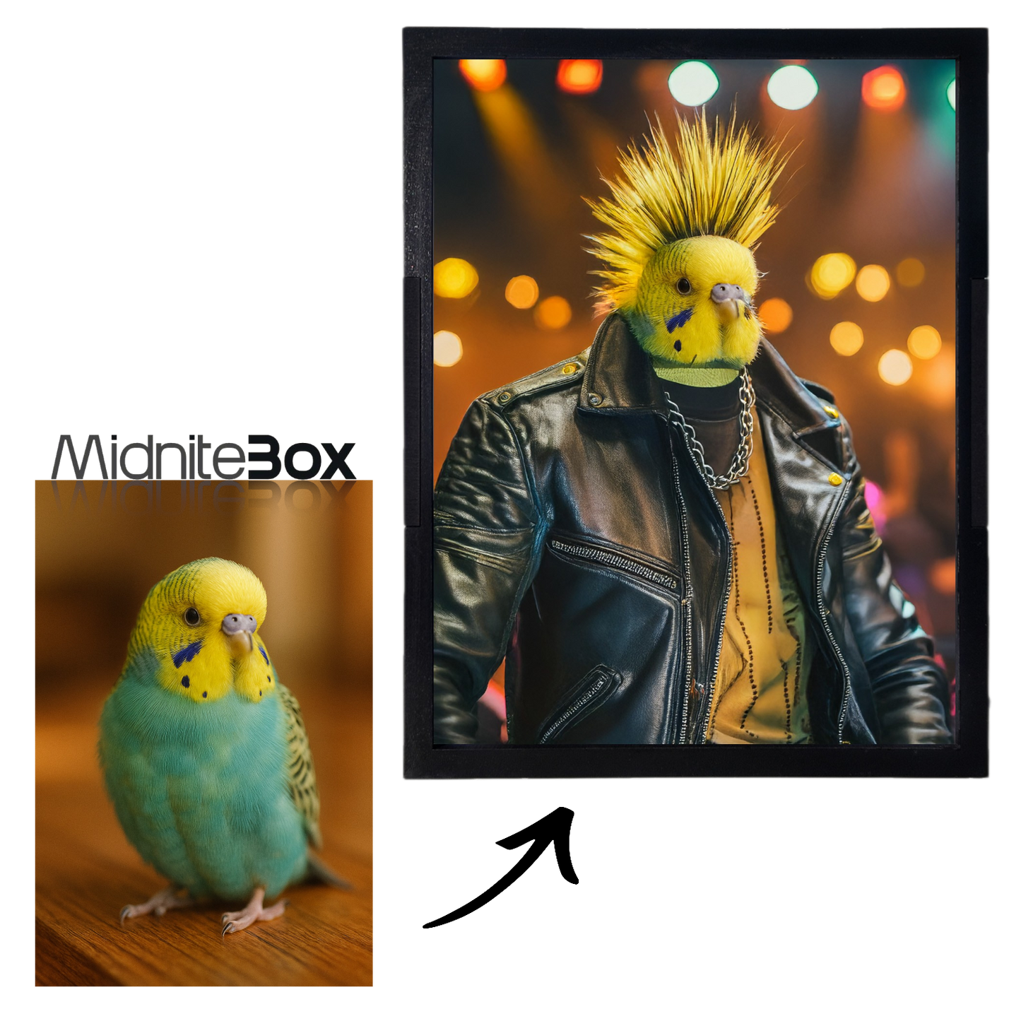 Rock Star Pati Temalı Kişiselleştirilebilir Gece Lambası